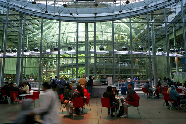 California Academy of Sciences